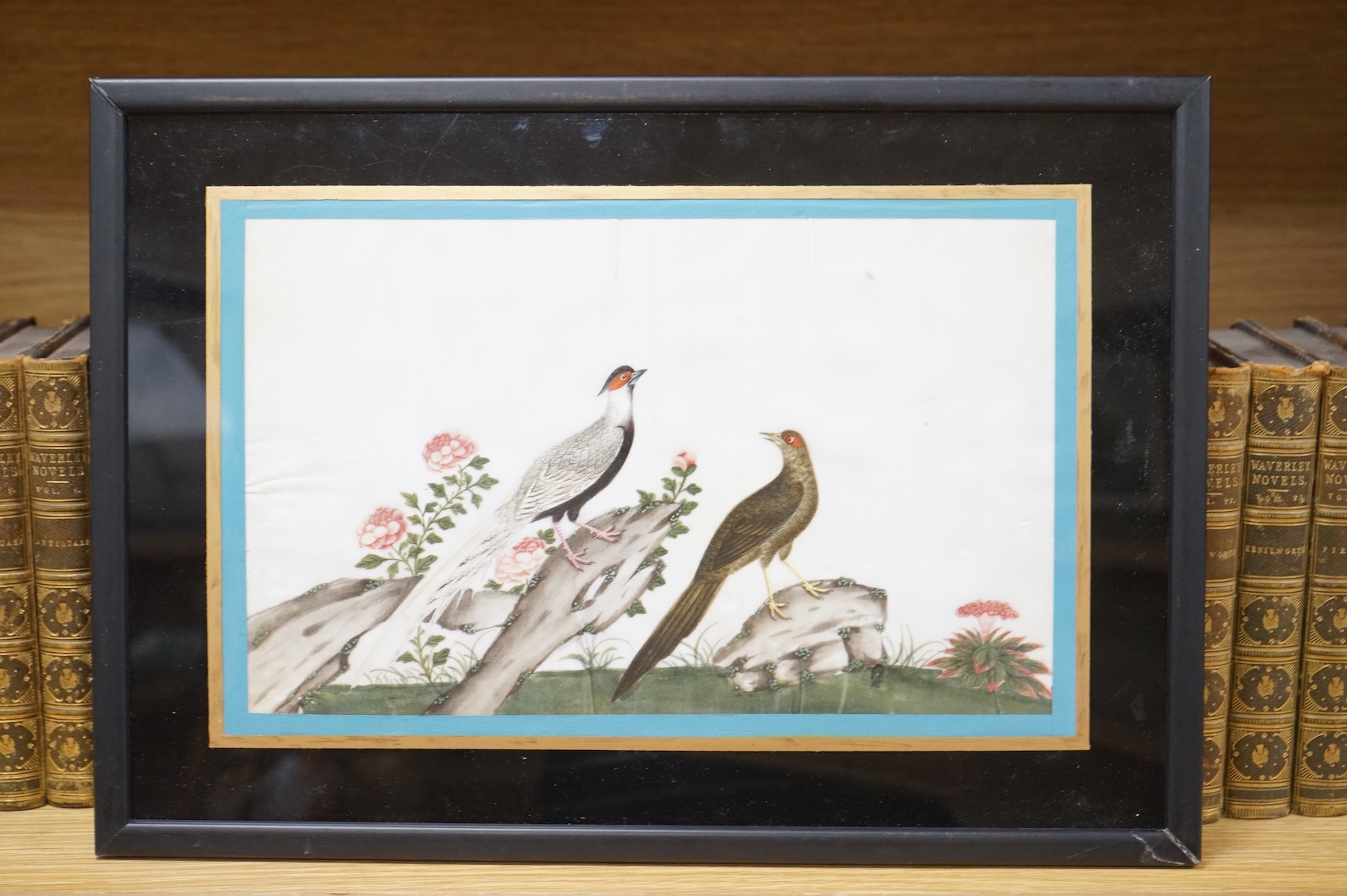 Chinese School, Birds of paradise, pair of pith paper paintings, 16 x 28cm, framed